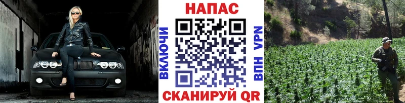как найти закладки  блэк спрут ТОР  Конопля планчик  Алзамай 